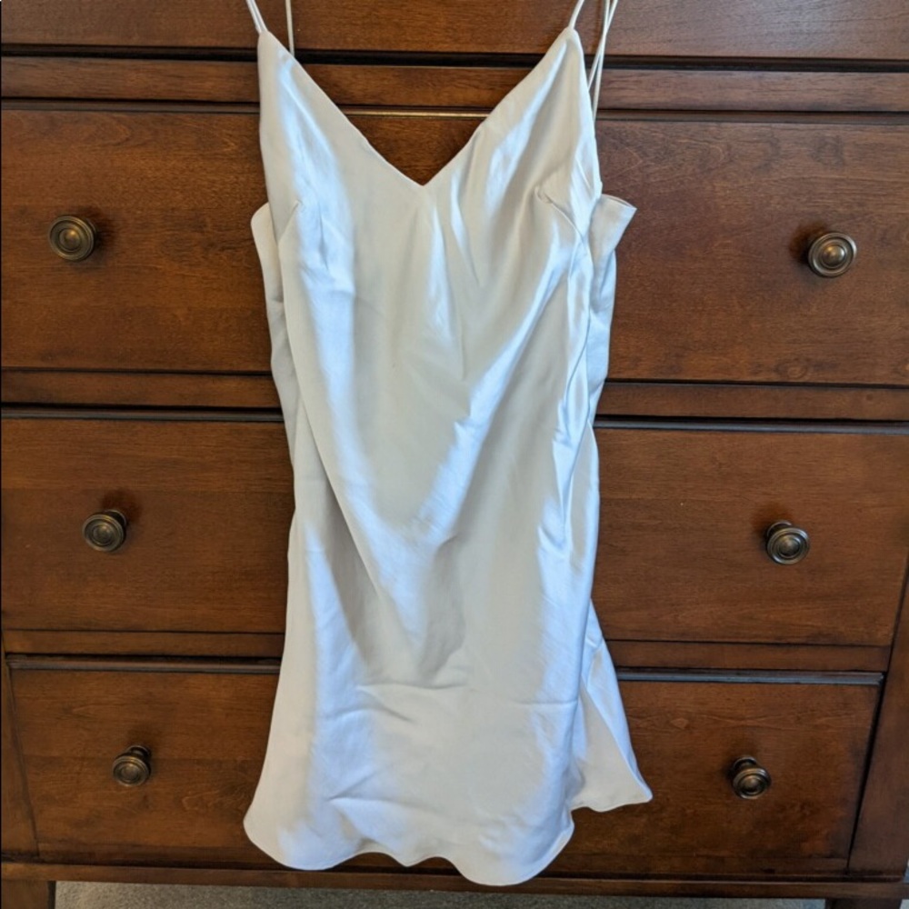 NWT ZARA Slip Dress